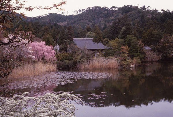 RYOAN-JI_08-1