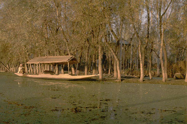 green_river.jpg