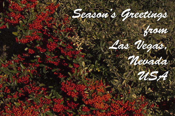 Las Vegas Holly - 2013 Holiday Letter : Promotional : James Beyer Photography