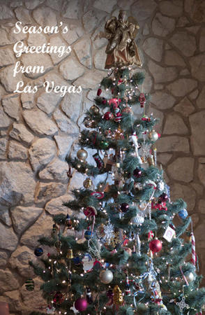 2420 Windjammer Christmas Tree - 2015 Holiday Letter : Promotional : James Beyer Photography