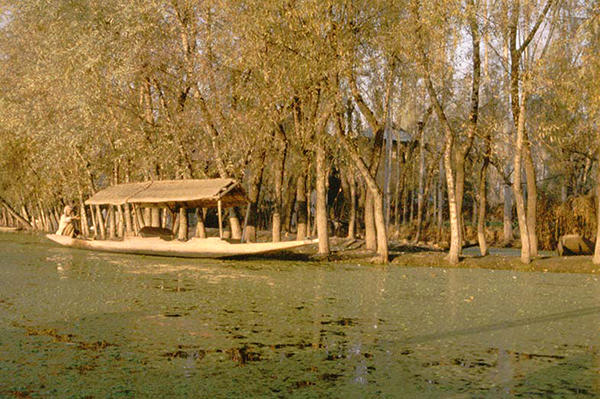 Green River -
Srinigar River, India (1986) : Machine In The Garden : James Beyer Photography