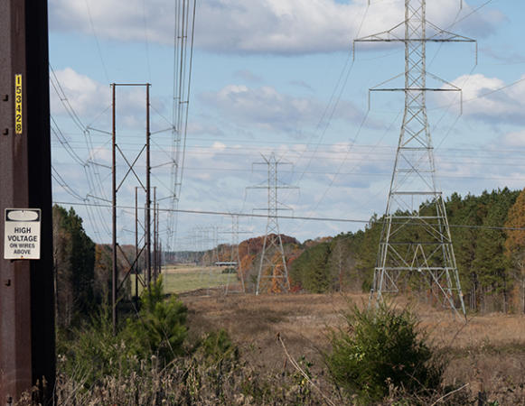 Clear Cut -
Near Abbeville, SC (2014) : Machine In The Garden : James Beyer Photography