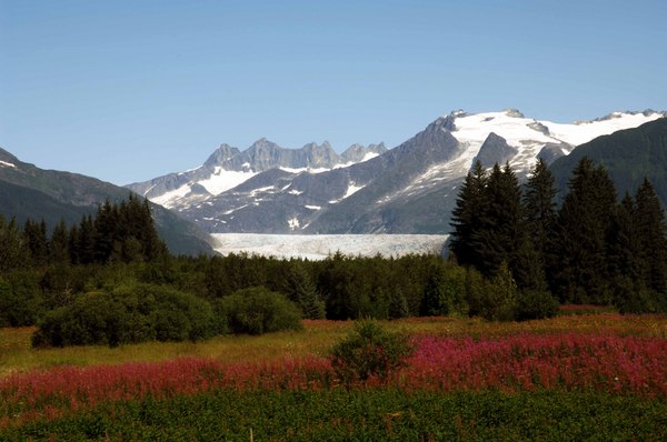 Mendenhall Glacier -
Juneau, Alaska
2007 : Places : James Beyer Photography