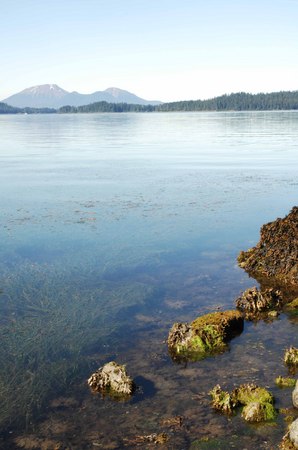 Reflections -
Sitka, Alaska (2007) : Places : James Beyer Photography