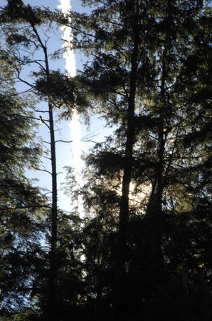 Contrail -
Sitka, Alaska (2007) : Places : James Beyer Photography