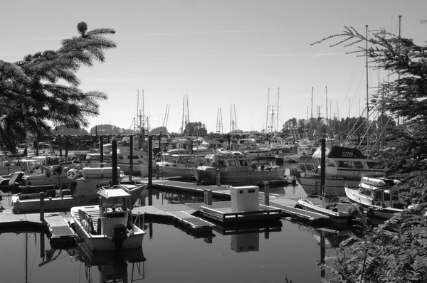 Sitka Harbor -
Sitka, Alaska (2007) : Places : James Beyer Photography