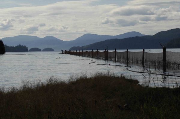 Running Fence -
Juneau, Alaska (2008) : Machine In The Garden : James Beyer Photography