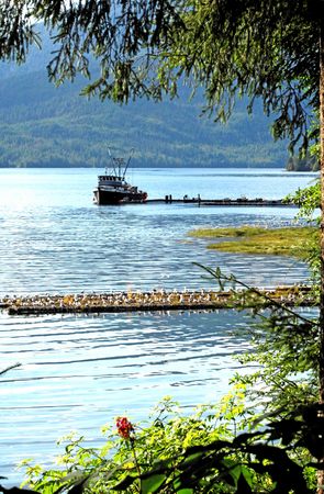 Modes of Transport -
Juneau, Alaska (2008) : Machine In The Garden : James Beyer Photography