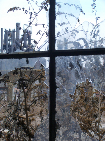 The Wildering -
Bethlehem, Pennsylvania (2005) : Machine In The Garden : James Beyer Photography