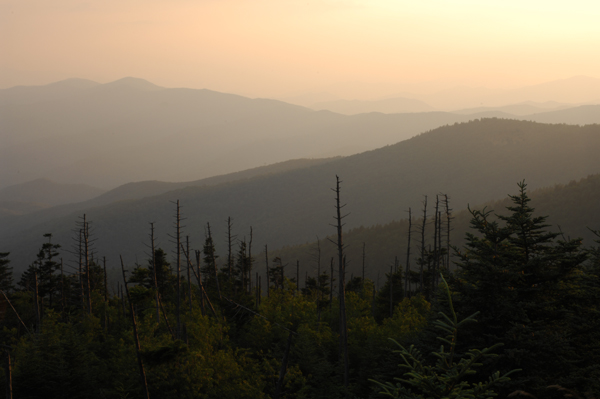 Field Light -
Appalachian National Park, North Carolina (2008) : Thresholds : James Beyer Photography