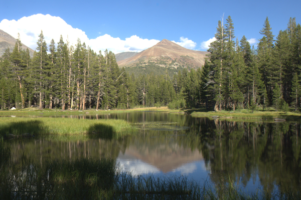 Yosemite Lake -
Yosemite, California (2008) : Places : James Beyer Photography