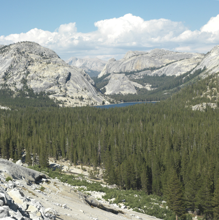 Mountain Lake -
Yosemite National Park, California (2007) : Nature : James Beyer Photography