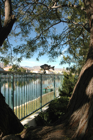 Fish View -
Las Vegas, Nevada (2005) : Promotional : James Beyer Photography