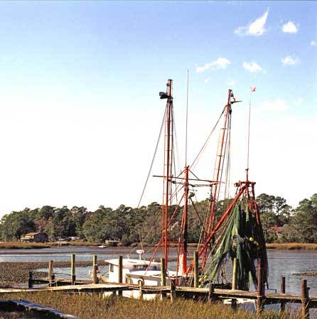Masts -
Conway, South Carolina (2005) : Machine In The Garden : James Beyer Photography
