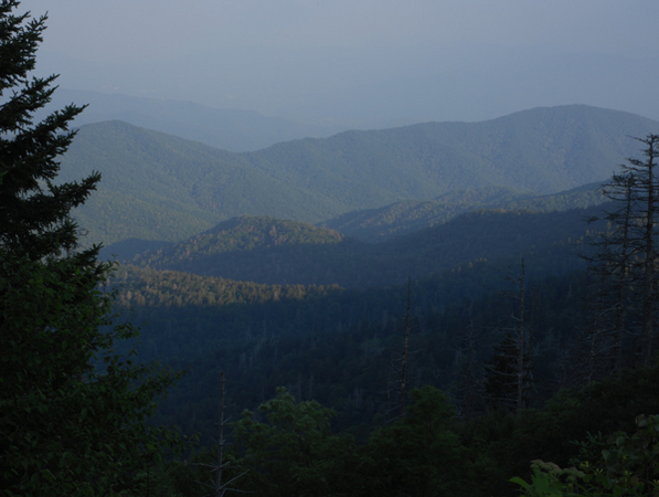 Green Blue Hillside -
Appalachian National Park, North Carolina (2008) : Thresholds : James Beyer Photography