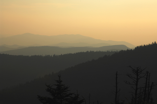 Brisket -
Appalachian National Park, North Carolina (2008) : Thresholds : James Beyer Photography