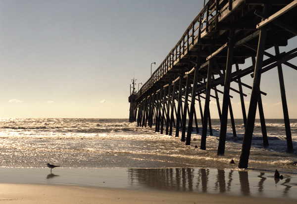 Pier With Bird -
Myrtle Beach, South Carolina (2005) : Machine In The Garden : James Beyer Photography